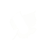 Icon-CV